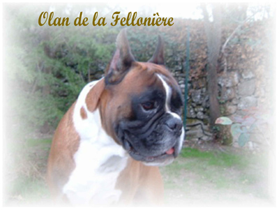 CH. Olan De la felloniere